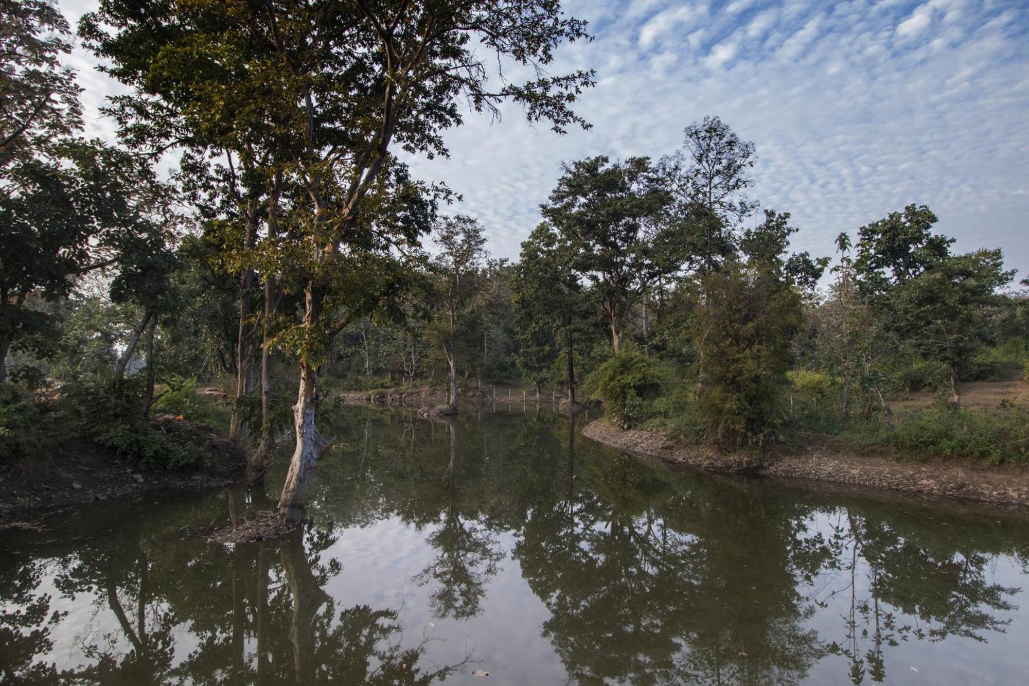 Wowstayz Pachmarhi Ecotel Экстерьер фото